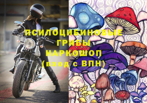 соль ск Михайловск