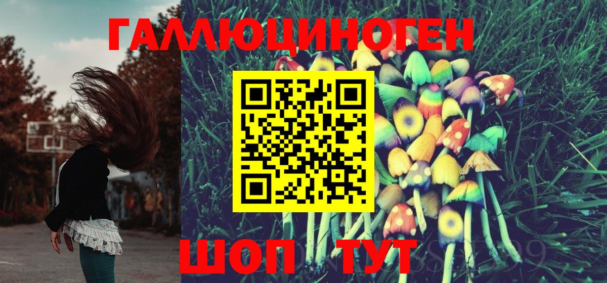 Галлюциногенные грибы MAGIC MUSHROOMS  Вход с VPN  Приморско-Ахтарск  Псилоцибиновые грибы Cubensis 