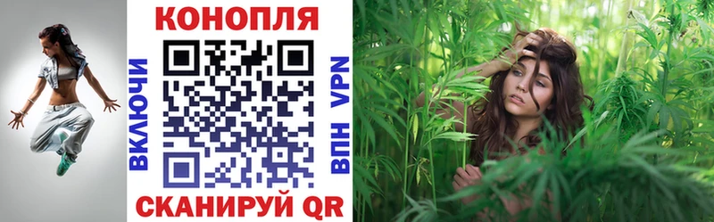 Конопля OG Kush Приморско-Ахтарск